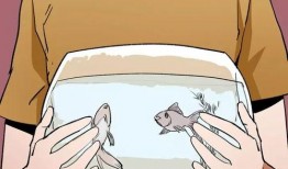 动漫砸缸爆料视频,揭秘幕后制作秘辛