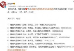 郑州王先生爆料新闻事件,揭开神秘新闻事件背后的真相